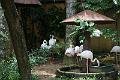 090410IMG_sk_0758birdparadise (8)